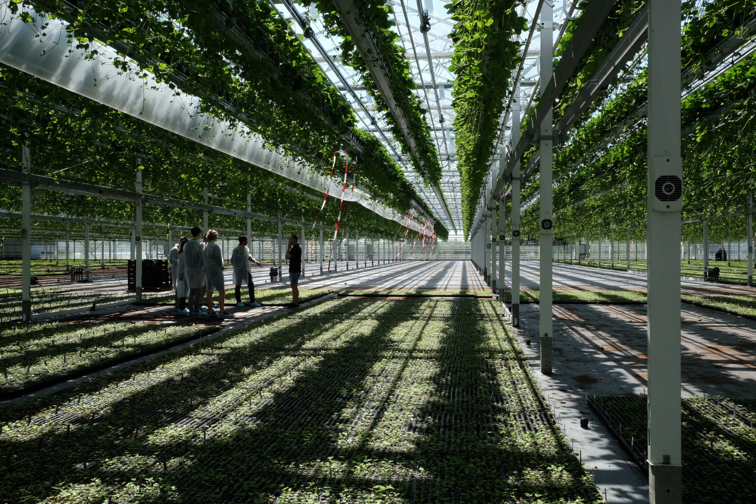 Plantgoed consortium bij VDA