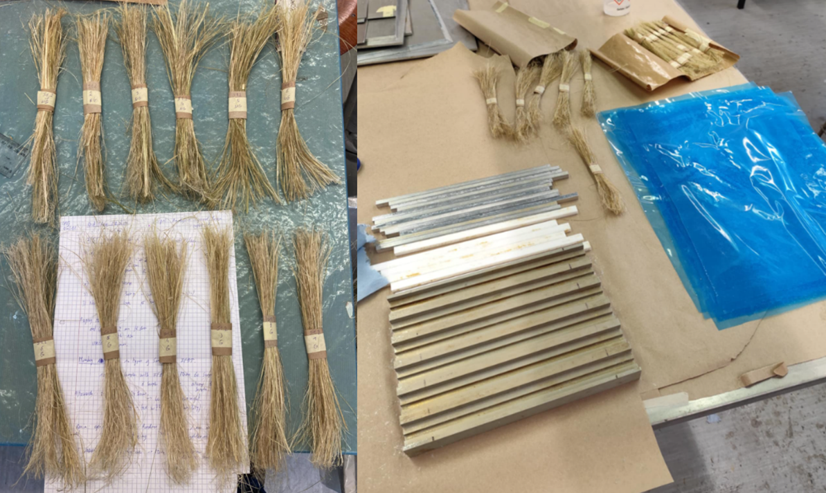 Voorbereiding IFBT samples