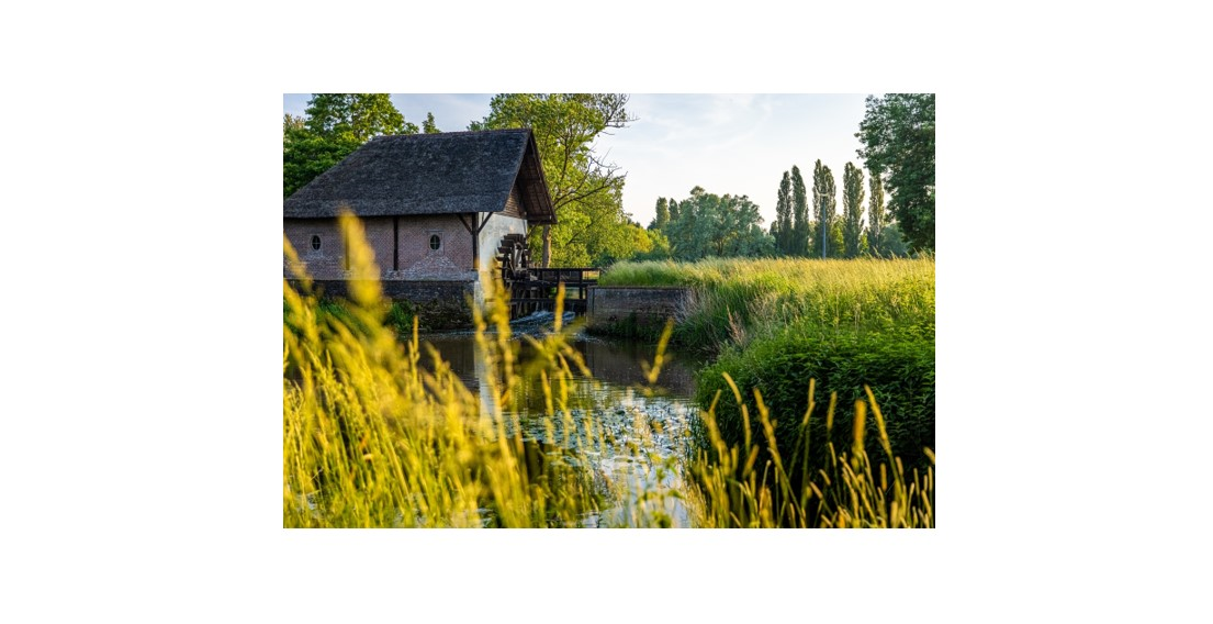 De Laermolen in Hoogstraten