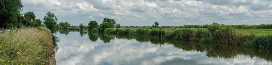 Rivier Cropped