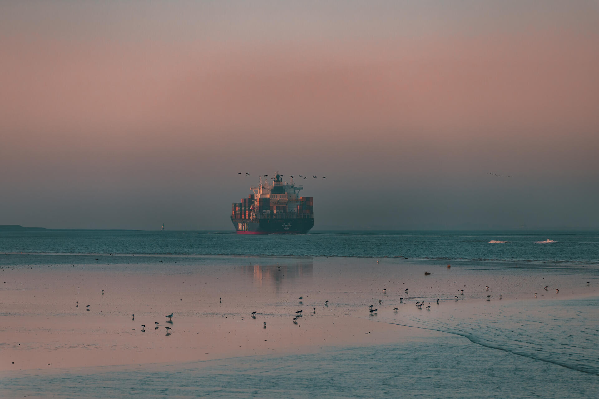 Westerschelde Sven Dullaert