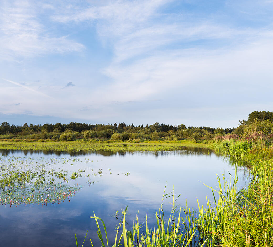 Kempen-Broek