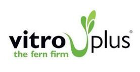 Vitro plus bv 36cc8 logo