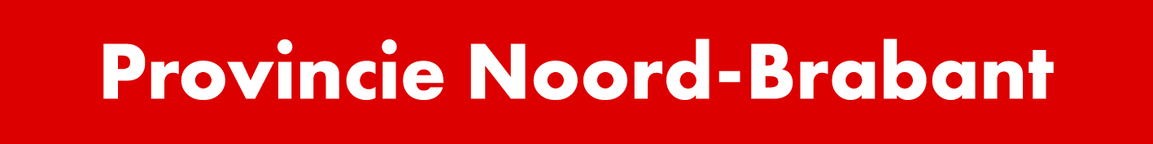 PNB Logo 100pt RGB 2 2
