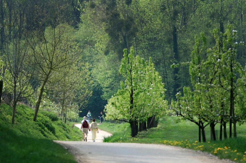 Grenzeloos Wandelen Hero