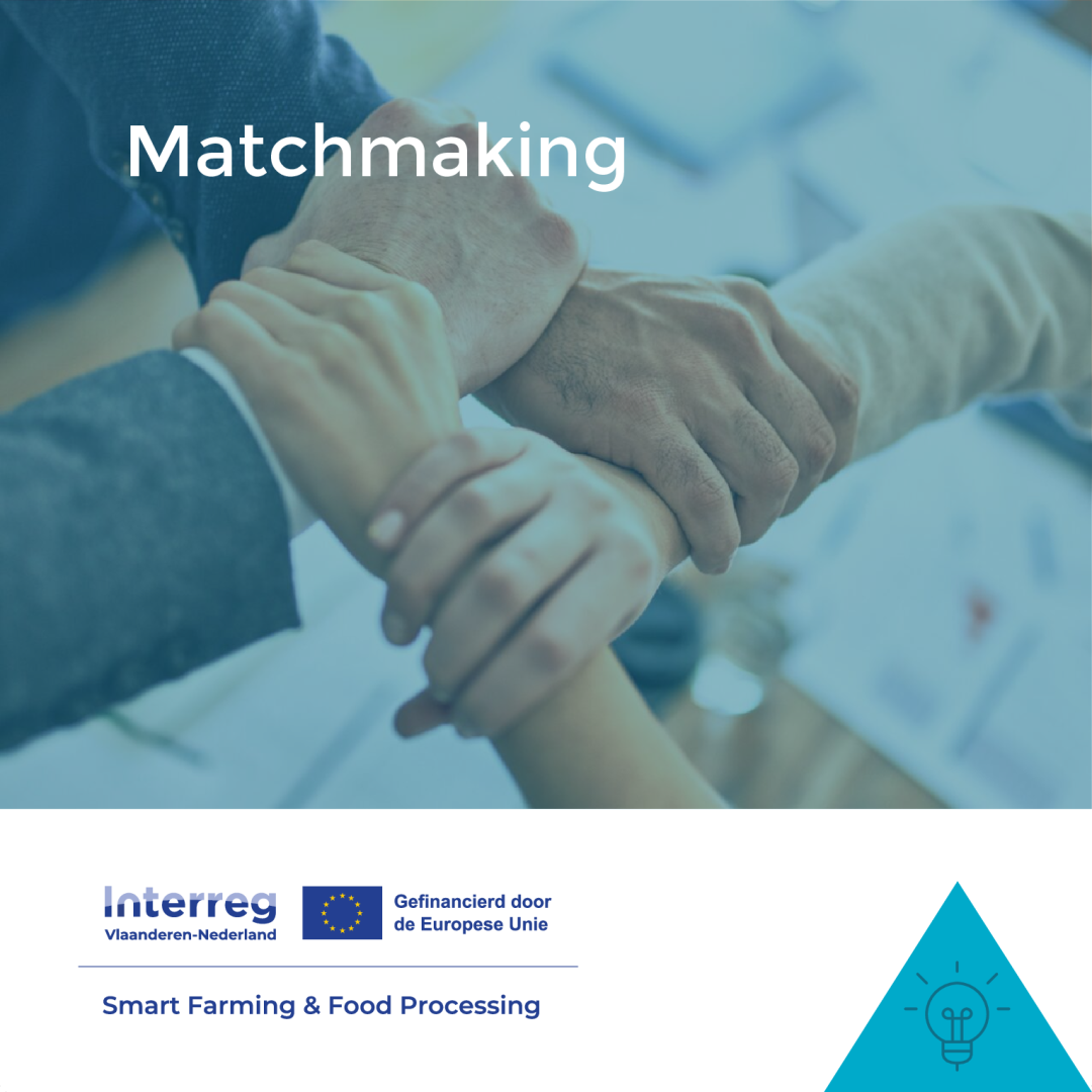 Social Media Bericht Matchmaking Web Afbeelding png 1080x1080px 1