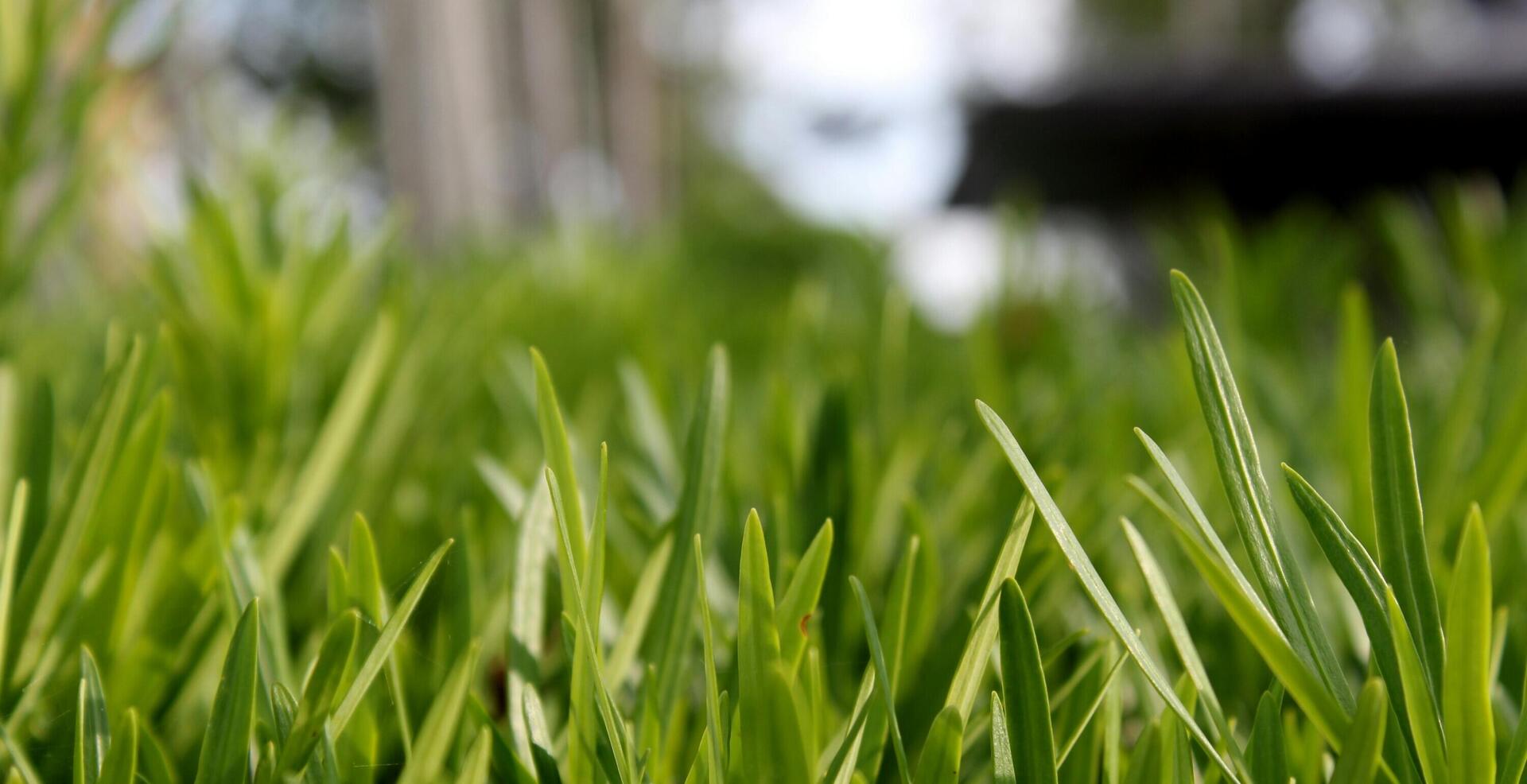 Groene reststromen bieden economische en ecologische kansen
