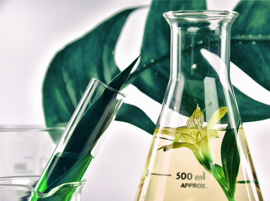 Leaves in glass