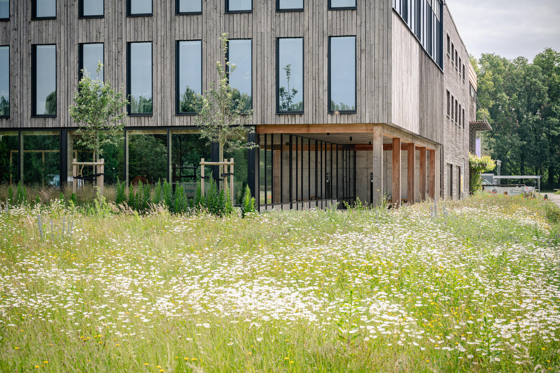 2024 06 04 Provincie Antwerpen Kamp C 07518