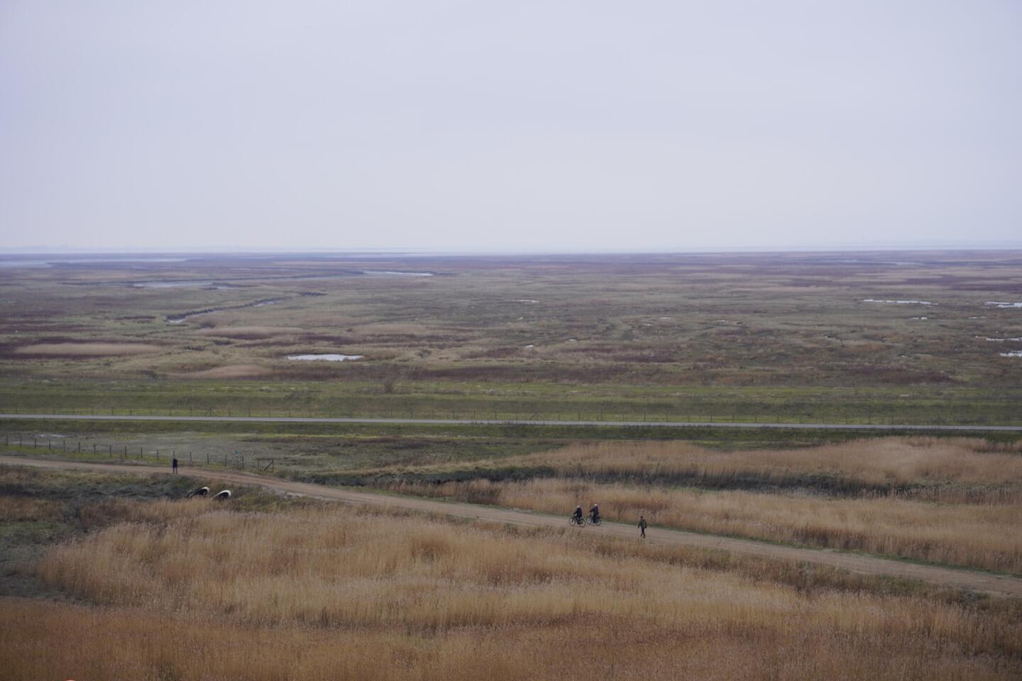 Uitzicht vanaf de Panoramaheuvel richting het Verdronken Land van Saeftinghe