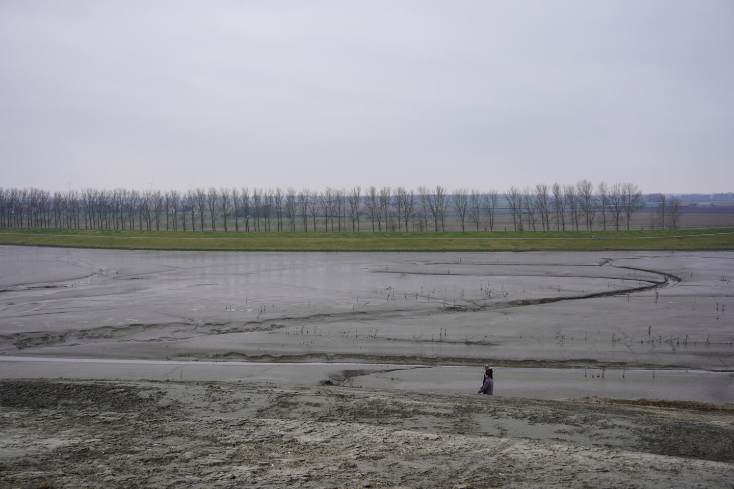 Uitzicht vanaf de Panoramaheuvel richting Hedwigepolder