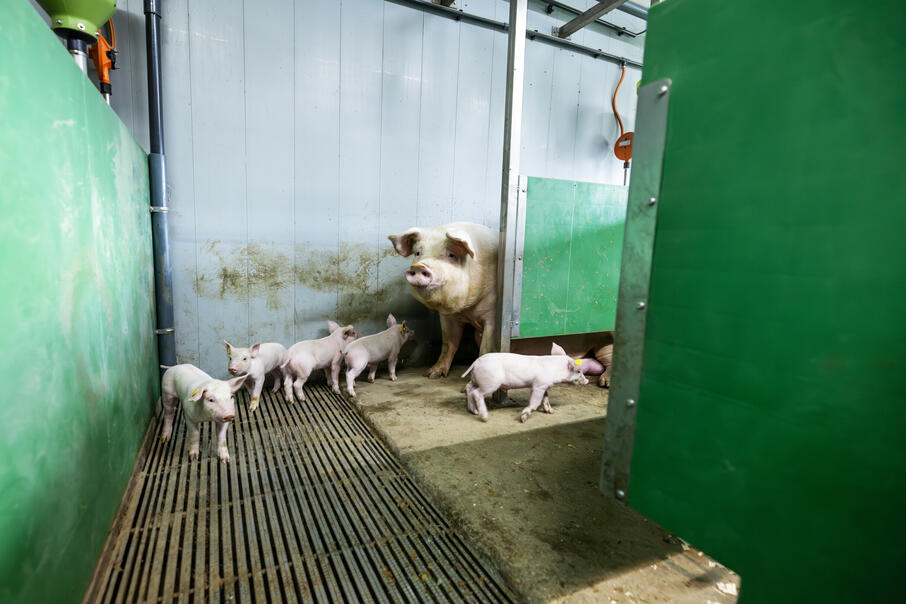 De Hoeve 103 Verbeterd NR