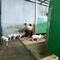 De Hoeve 103 Verbeterd NR