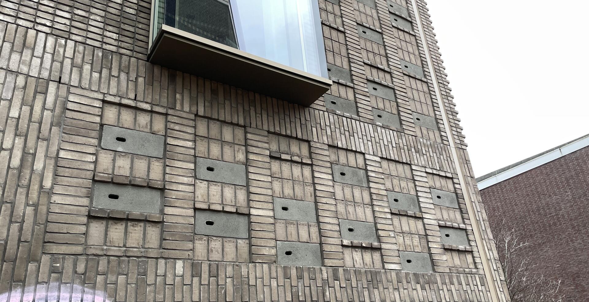 Inspiratiereis Natuurinclusieve architectuur Amsterdam