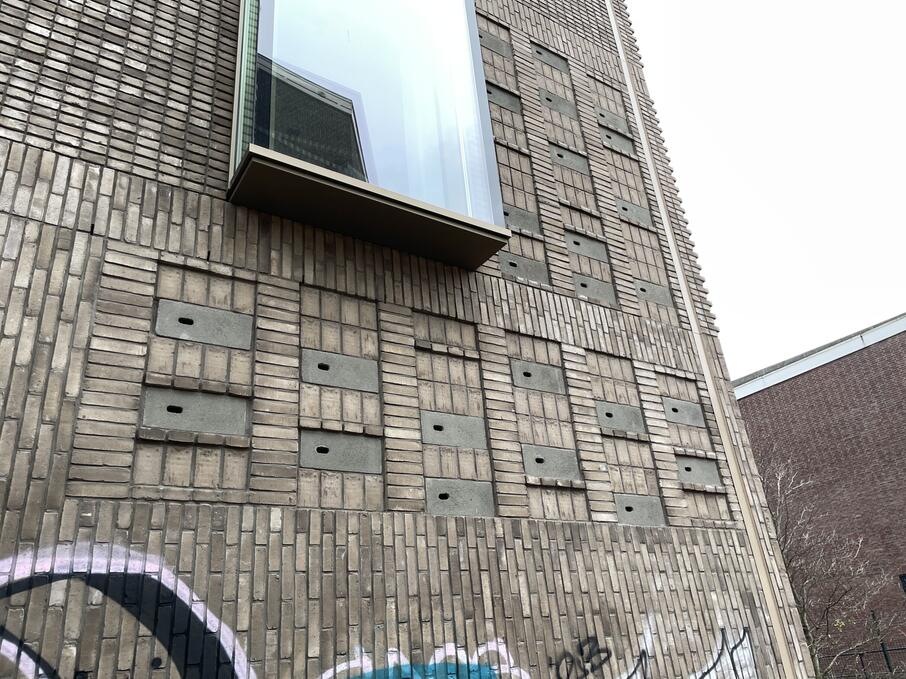 Inspiratiereis Natuurinclusieve architectuur Amsterdam