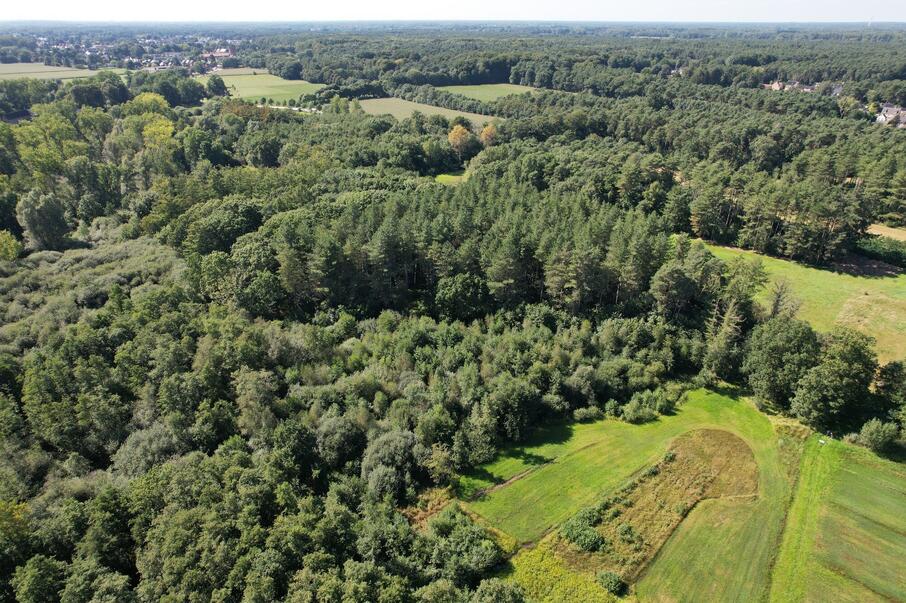 Graafweide-Schupleer Drone