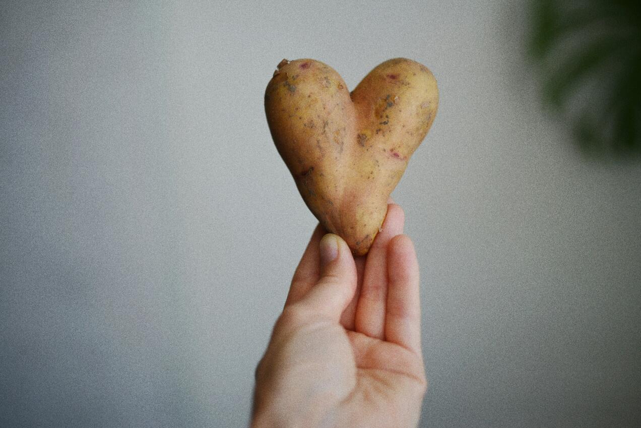 hand die aardapppel in hartvorm vasthoudt