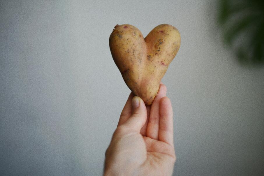 hand die aardapppel in hartvorm vasthoudt