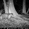 Otter in Berlare Joris Everaert