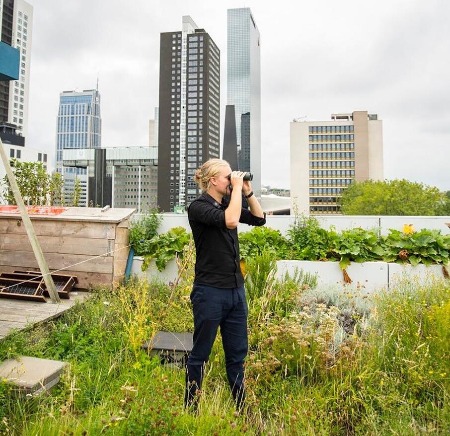 Prov Oost Vlaanderen webinar juni Birds Buildings masterproefstudio joris van reusel 2022 2023