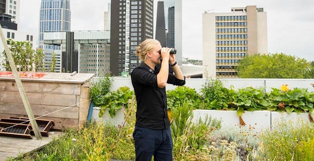 Prov Oost Vlaanderen webinar juni Birds Buildings masterproefstudio joris van reusel 2022 2023
