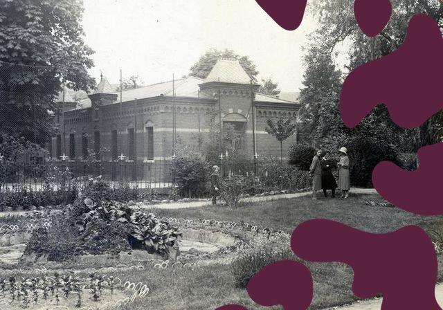 Kloostertuin hamont blobs