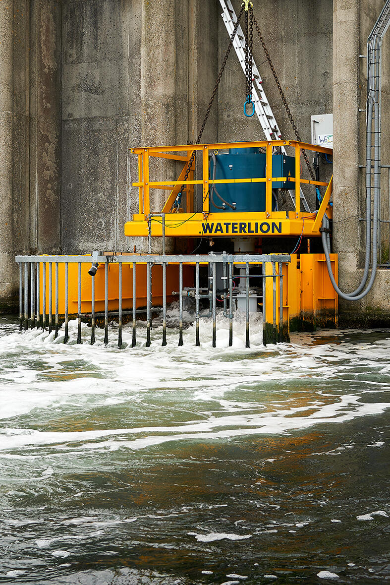 Waterlion vlissingen aliquevannes juni2025 5