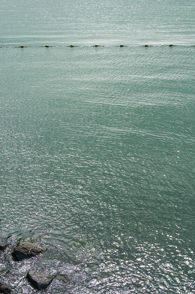 Waterlion vlissingen aliquevannes juni2025