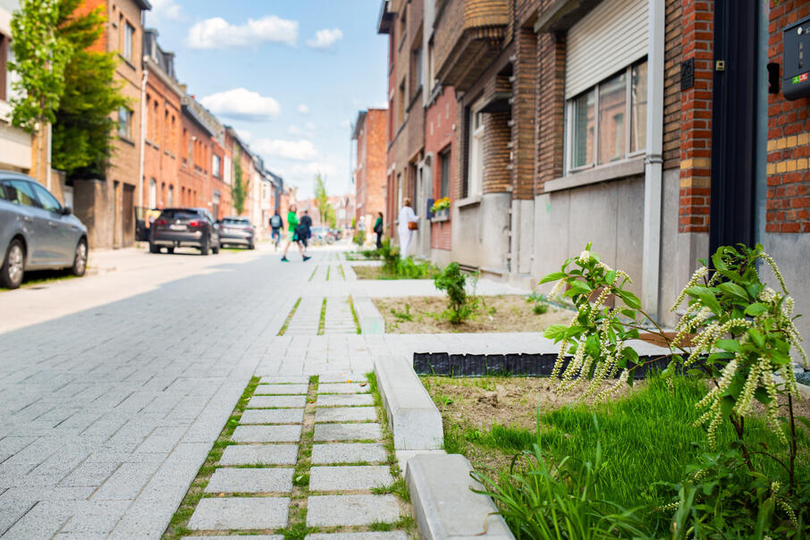 Straat met ontharding en aanplanting van groen
