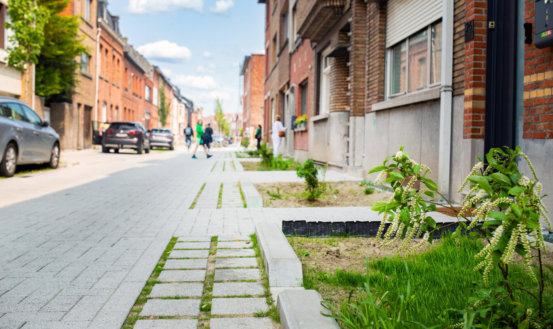 Straat met ontharding en aanplanting van groen