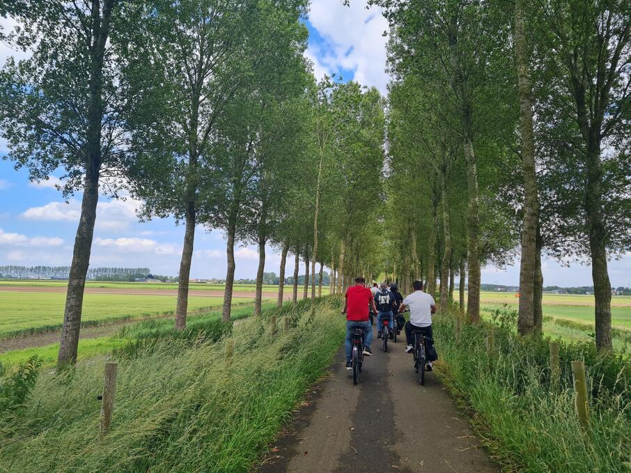 Fietsers fietsen op een dijk tussen twee rijen bomen