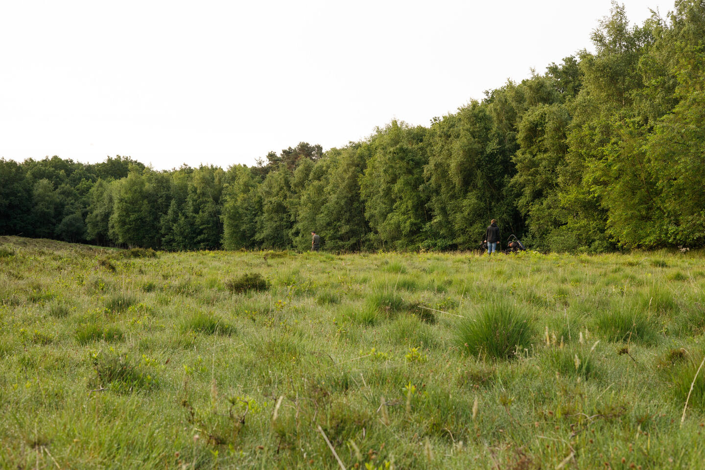 Projectgebied Breukberg (NL)
