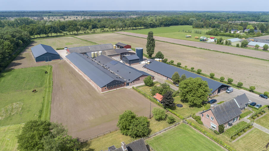 Demobedrijf met dagontmesting