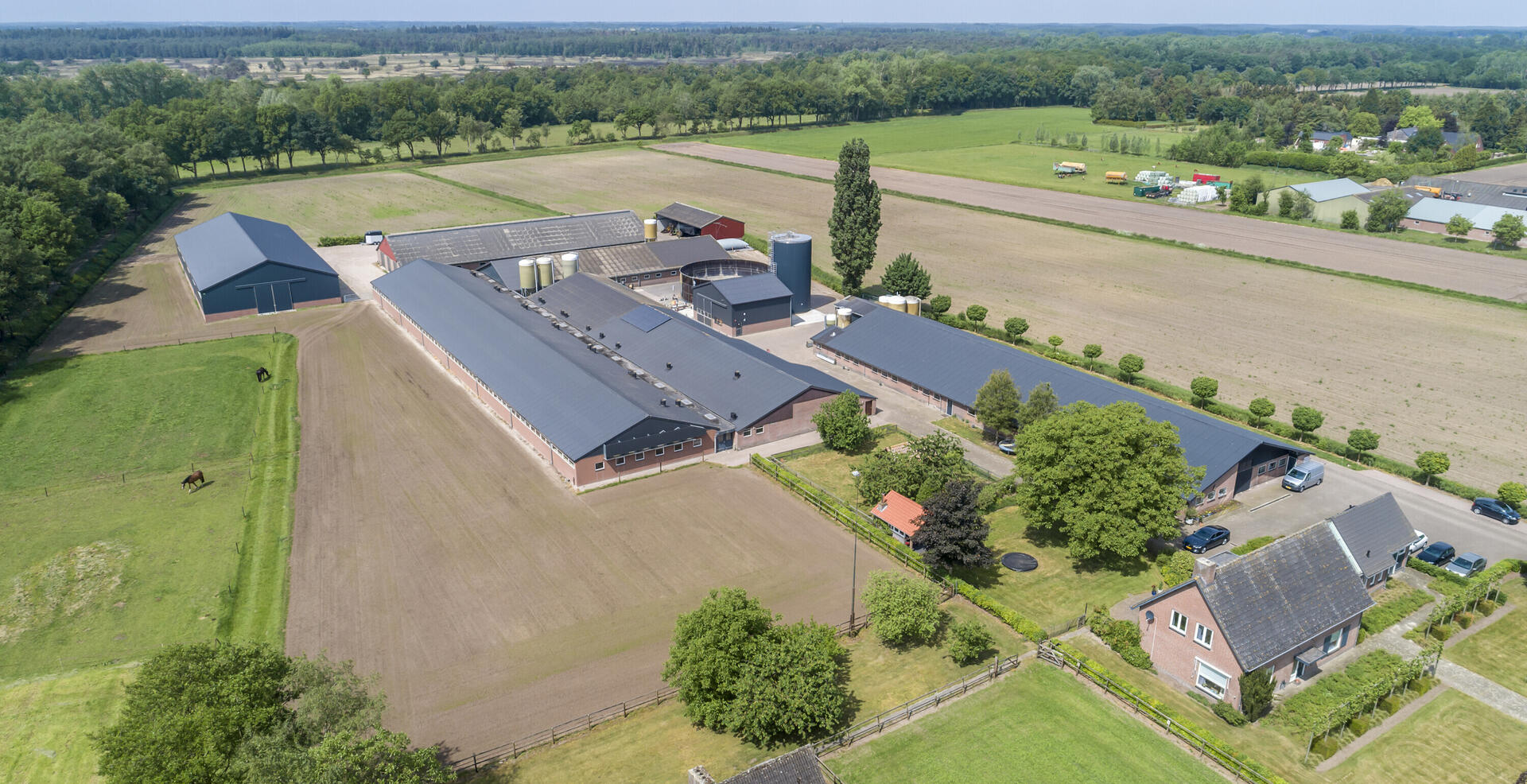 Demobedrijf met dagontmesting