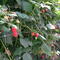 DSCF0039