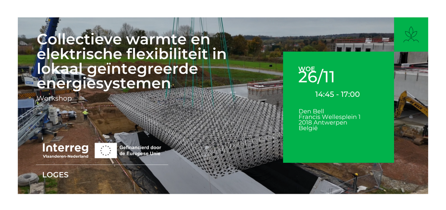 LOGES Collectieve warmte en elektrische flexibiliteit Web PDF pdf