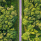 Linkedin banner Call 5 1920 x 1080