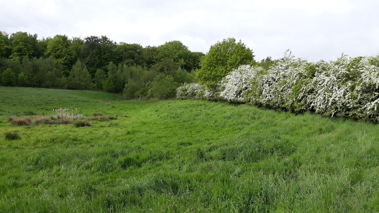 20210517 Binkomstr heg LUB 06