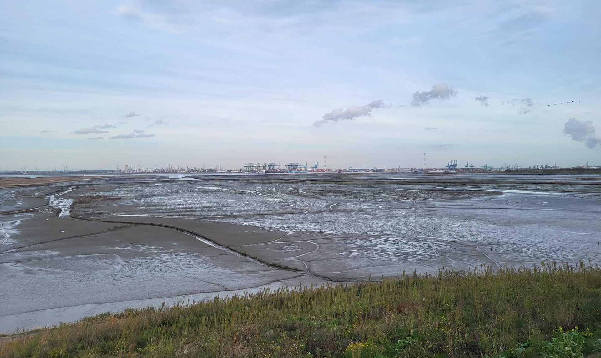 Vergezicht over slikken en geulen vanaf Panoramaheuvel