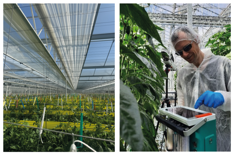 Schermafbeelding 2026 01 09 115833