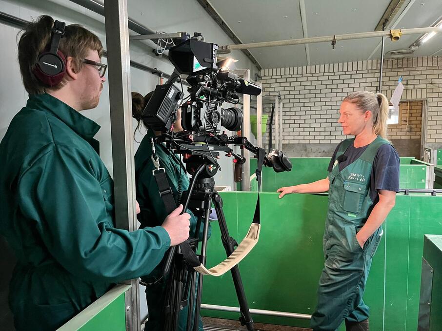 Whats App Image 2025 12 29 at 09 59 33 1