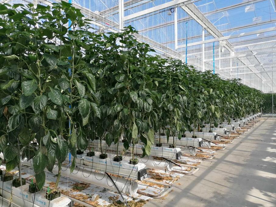 90624b4e aec9 436b 8f3f 75a9485eb4c0