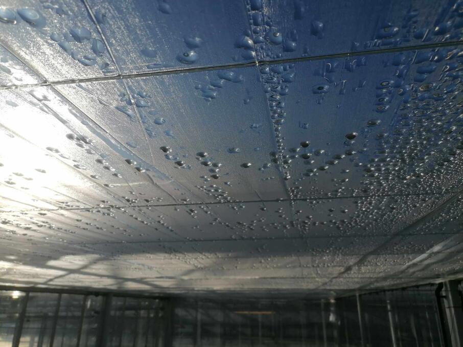 410881955 908668077566913 76170422335381501 n