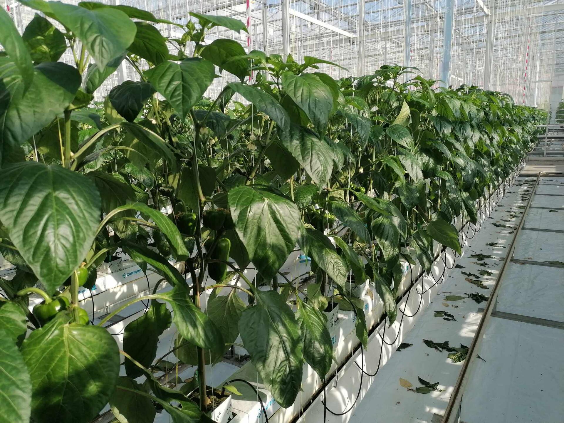 D7b92e70 020e 4132 8915 71d247486e4f