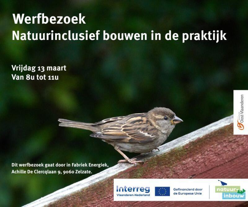 Werfbezoek Fabriek Energiek