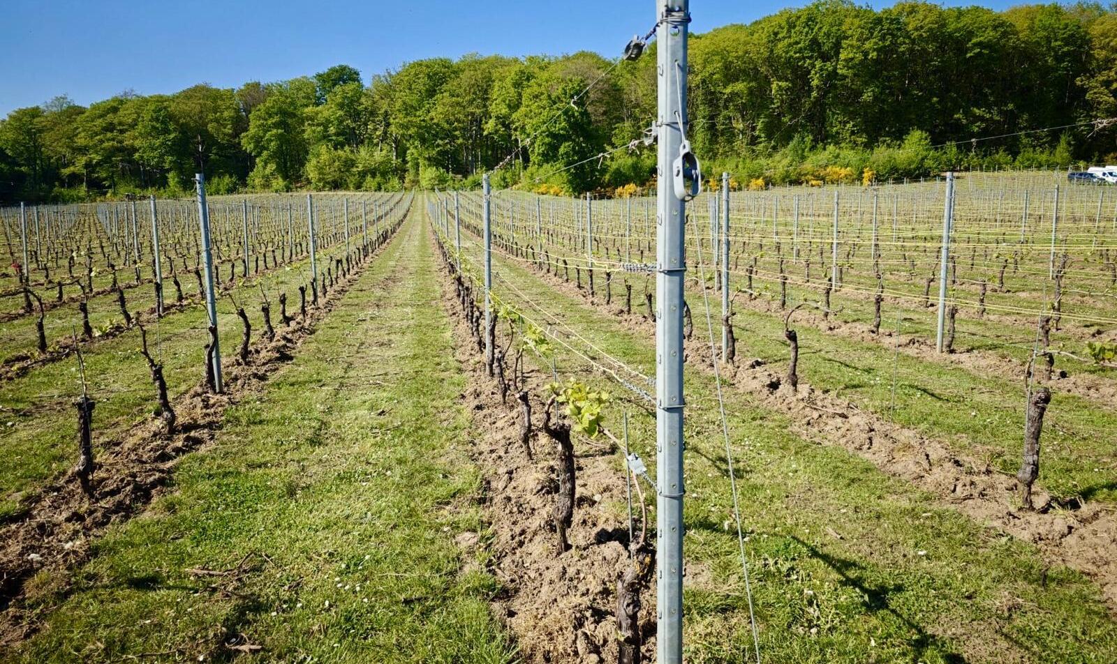 Whats App Image 2026 02 10 at 13 05 36