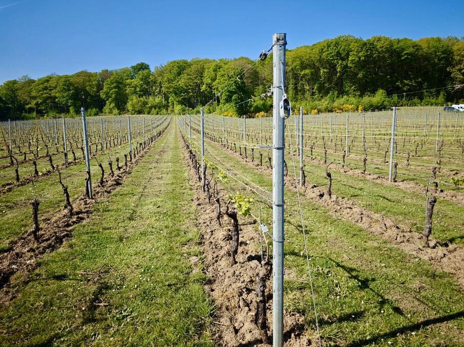 Whats App Image 2026 02 10 at 13 05 36