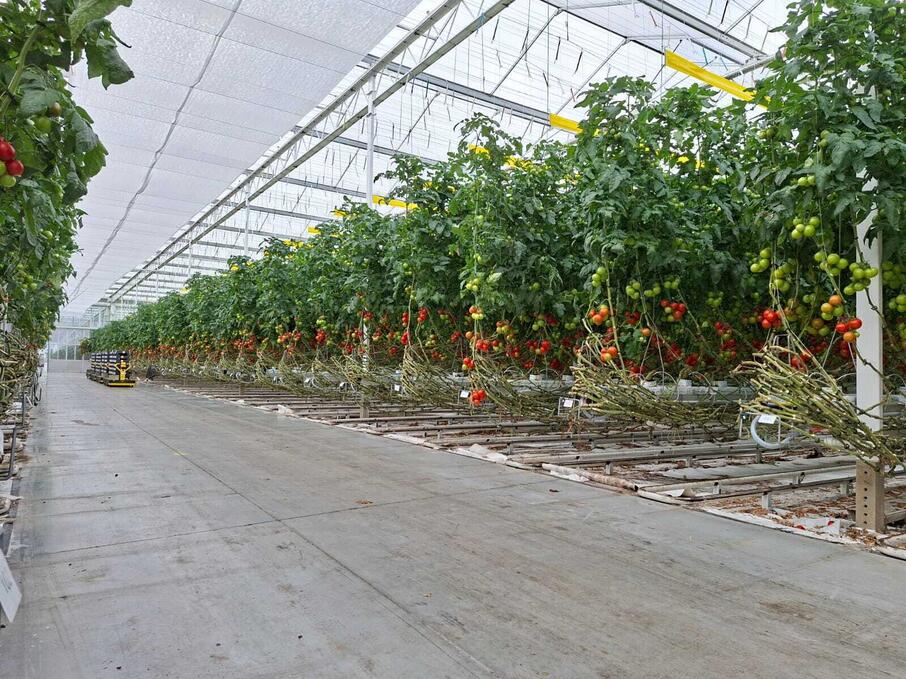 Afbeelding van Whats App op 2025 09 22 om 14 02 33 477c0129