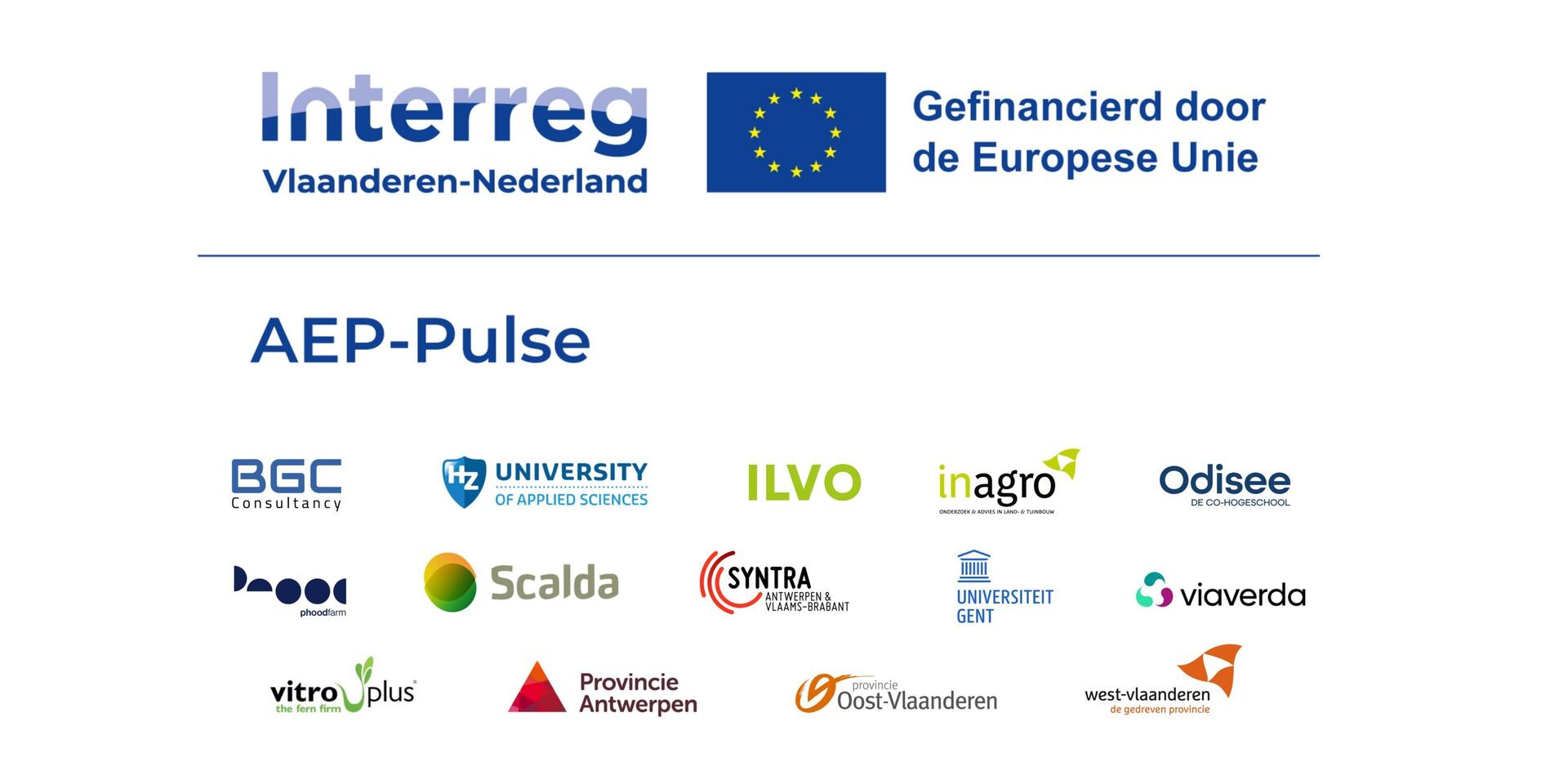 Logobanner AEP Pulse jpg