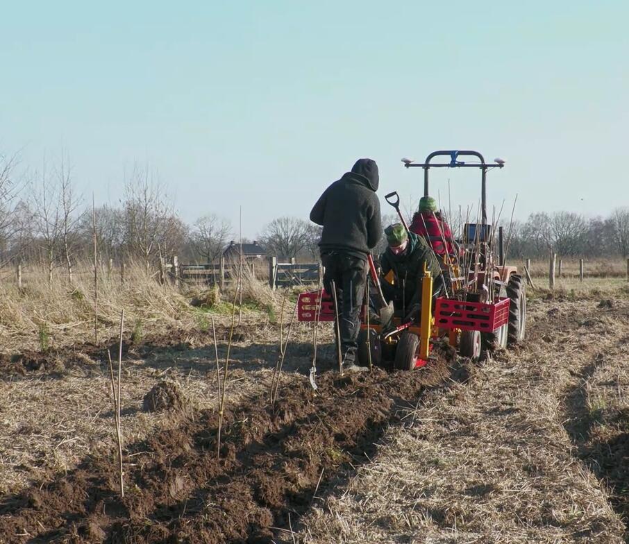 Machinale aanplant 3